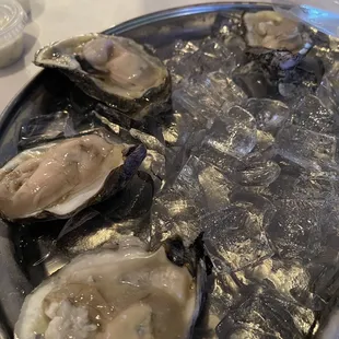 Raw Oyster