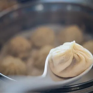 Juicy Pork Dumplings