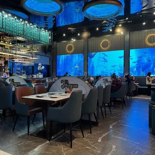 Atmosphere is too cool!