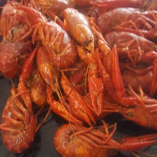 Crawfish