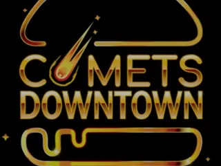 Comets Downtown Sliders & Fries