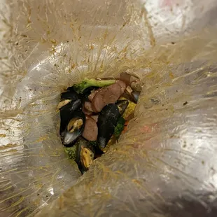 mussels, food, shellfish, oysters, oysters and mussels