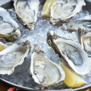 a platter of oysters