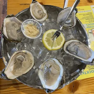 Raw oysters