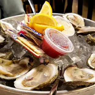 Oysters