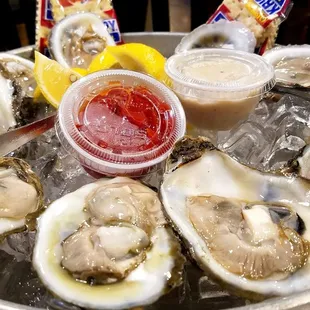 Oysters