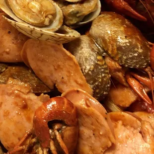 shellfish, mussels, oysters and mussels, food, oysters