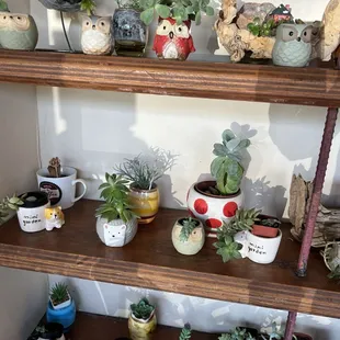 Cute plants