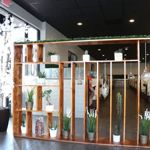 the inside of a plant shop