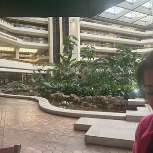 The garden