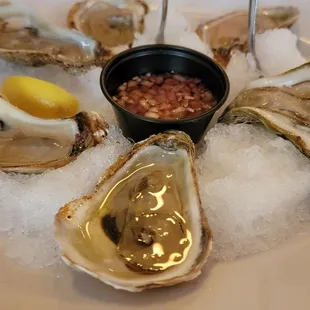 Raw East Coast Oysters