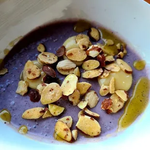 Blueberry Pannacotta