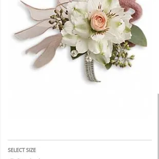 This is what I ordered