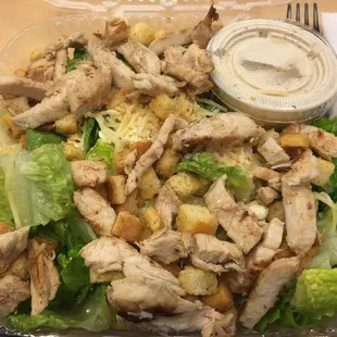 Chicken Caesar Salad