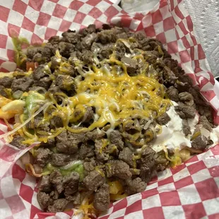 Carne Asada Fries