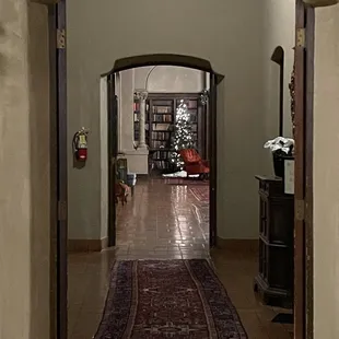 Admiring the holiday tree down in the library.