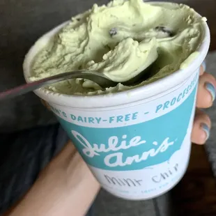 Dairy Free Mint Chip. Amazing!