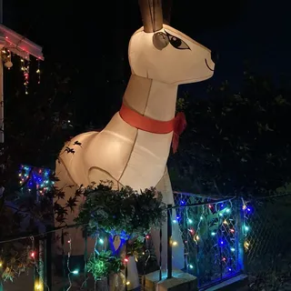 大王派我来巡山