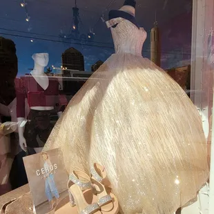 Store Window