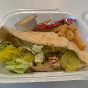 Grilled Chicken Rider on Pita with Mushrooms and a side of fries. I ate most of them lol