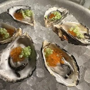 Oysters