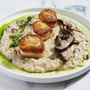Scallop Risotto