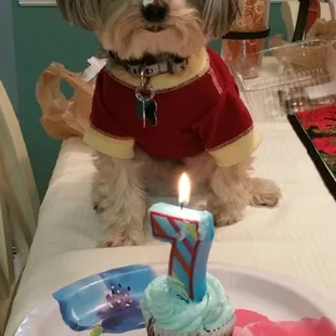 His 7th birthday