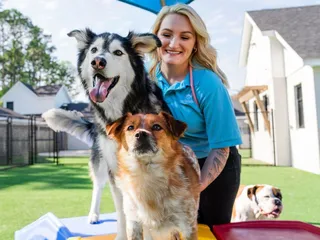 Pet Paradise St. Johns - WGV