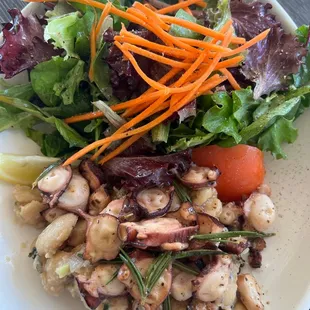 Seafood salad, impeccable!!!