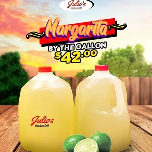 Margarita by Gallo to go