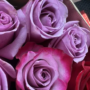 Dead roses mixed with a pink rose