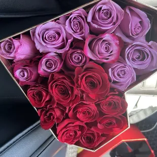 Roses with different colors of purple. From far doesn&apos;t look too bad