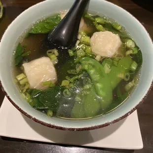 Dumpling Soup