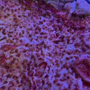 a slice of cheese pizza