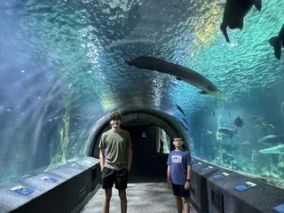 Newport Aquarium