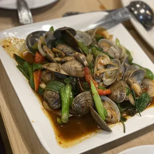 502 Manila Clam with Basil Leaves. Don&apos;t get this !