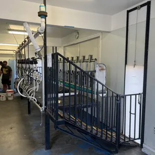  man and a woman working on the stairs