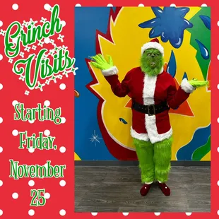 Grinch Visits over the Christmas Holidays