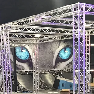 We&apos;ve got a Wildcat watching you!