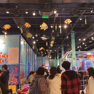 Jumpity Bumpity concord