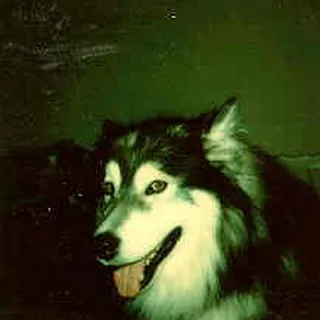 Gary R.