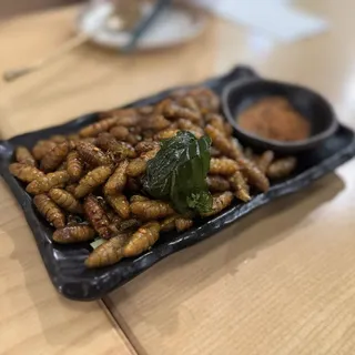 True Warrior's Fry Pupae
