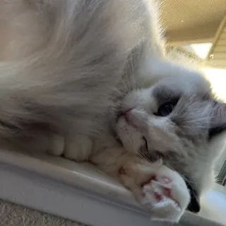 Samuel L.