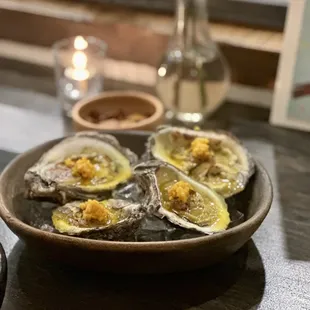 Oysters