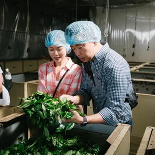 We take our matcha seriously!