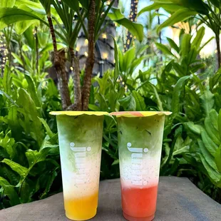 Orange Creamsicle Matcha Latte