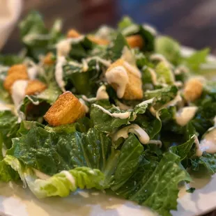 Caesar salad. Lettuce was crisp and fresh