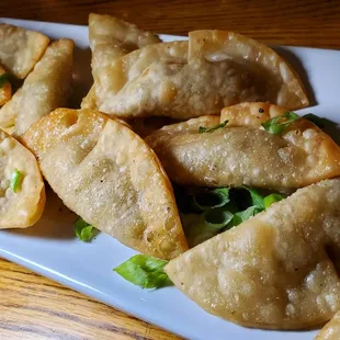a plate of fried dumplings