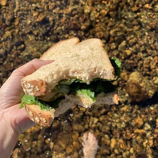 Trail Lunch