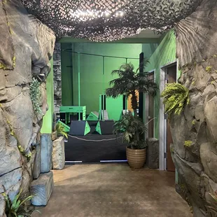 Welcome to the Jungle!